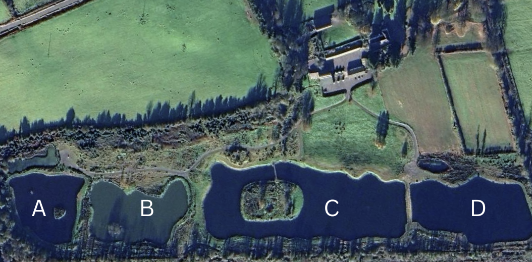 Aerial view of Laois Angling Centre showing all four lakes and the angling centre